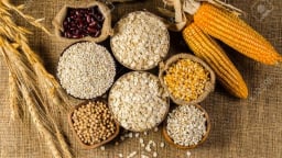 Lo ngại về mùa vụ hỗ trợ giá ngô và lúa mì tăng mạnh