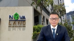 Phó Tổng Giám đốc Novaland được bổ nhiệm làm Người đại diện theo pháp luật