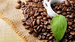 Giá cà phê Robusta lao dốc trước triển vọng nguồn cung dồi dào