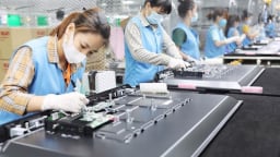 'Làn sóng khởi nghiệp' quay trở lại tạo kỷ lục với hơn 24.400 doanh nghiệp thành lập mới trong tháng 6/2025