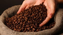 Xuất khẩu cà phê ước đạt 5,5 tỷ USD, vượt mốc kỷ lục của cả năm 2025