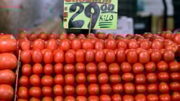 Cà chua Mexico bị cuốn vào vòng xoáy thuế quan Mỹ