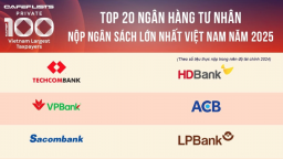 TOP 20 ngân hàng tư nhân đóng góp lớn nhất vào ngân sách Nhà nước