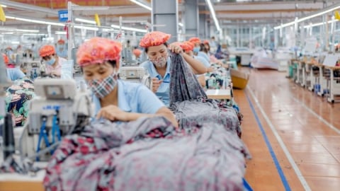 May Sông Hồng sắp tạm ứng cổ tức năm 2024 với tỷ lệ 35%