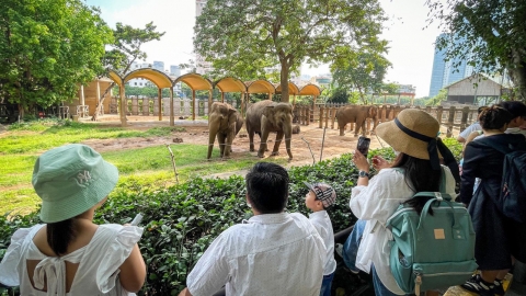 Thảo Cầm Viên đứng trước nguy cơ dừng hoạt động vì nợ hàng trăm tỷ tiền thuê đất