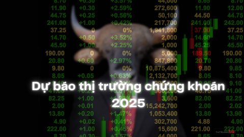 Dự báo thị trường chứng khoán 2025: Mục tiêu nâng hạng bước đệm nhảy vọt, danh mục cổ phiếu nào 'đáng đồng tiền bát gạo'