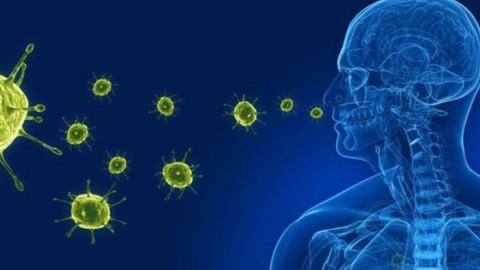 Bộ Y tế thông tin virus gây viêm phổi trên người tại Trung Quốc