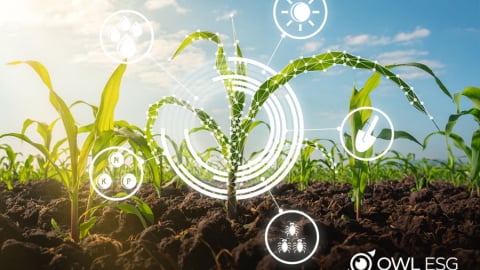 Mô hình ESG tại Việt Nam: Thực trạng, tiềm năng và giá trị trong các ngành kinh tế chủ đạo