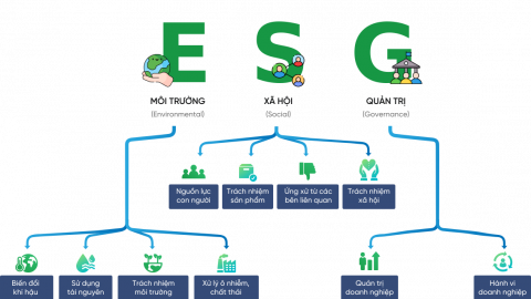 ESG là gì và vì sao các công ty đang dồn sức đầu tư cho ESG