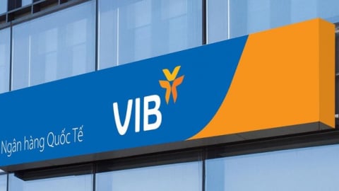 Pyn Elite Fund chi hơn nghìn tỷ mua 54 triệu cổ phiếu VIB