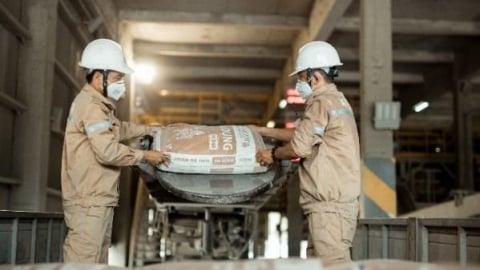 Lợi nhuận năm 2024 Vicem Hà Tiên giảm 7% sau kiểm toán