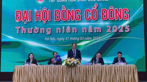 Trong ngày Đại hội cổ đông Chủ tịch Hoá chất Đức Giang khuyên cổ đông 'đừng bán' cổ phiếu DGC, kết phiên thị giá giảm hơn 20%