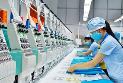 Công ty dệt may 50 tuổi - Garmex Sài Gòn dự kiến lỗ 42,5 tỷ đồng năm 2025