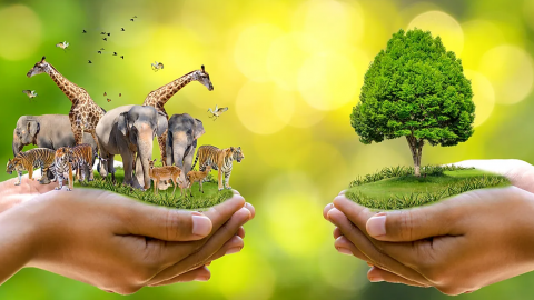Chuyên gia chia sẻ 'kỹ năng vàng' để các bên chung tay bảo tồn thiên nhiên