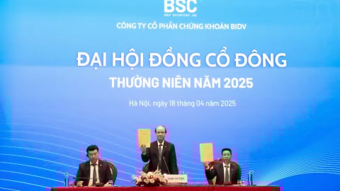 ĐHĐCĐ Chứng khoán BIDV (BSC): Lợi nhuận mục tiêu 560 tỷ đồng, dự kiến trả cổ tức tỷ lệ 10%