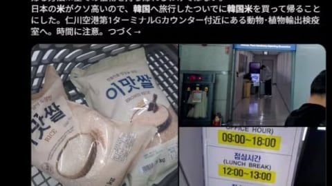 Vì sao người Nhật 'chịu chơi' bay 2 tiếng 30 phút sang Hàn Quốc mua gạo?