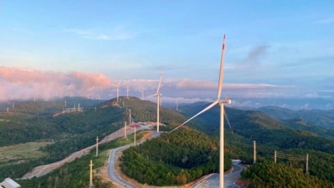 Chấm dứt chủ trương đầu tư 5 dự án điện gió chậm tiến độ tại Quảng Trị