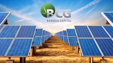 Cổ phiếu BCG của Bamboo Capital vào diện bị kiểm soát từ ngày 13/5