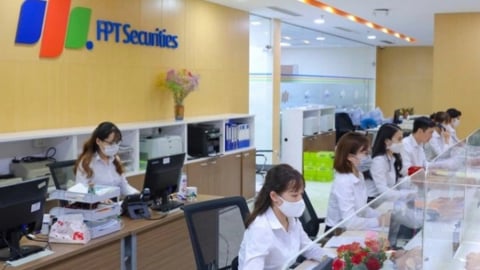 Chứng khoán FPT (FTS) hoàn tất tăng vốn lên 3.365 tỷ đồng, chuẩn bị trả cổ tức năm 2024 bằng tiền mặt