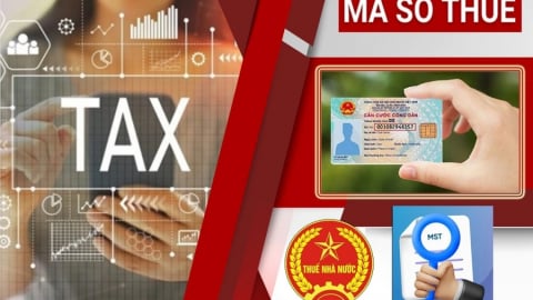 Từ 1/7/2025 sử dụng số định danh cá nhân thay cho mã số thuế, người nộp thuế lưu ý gì?