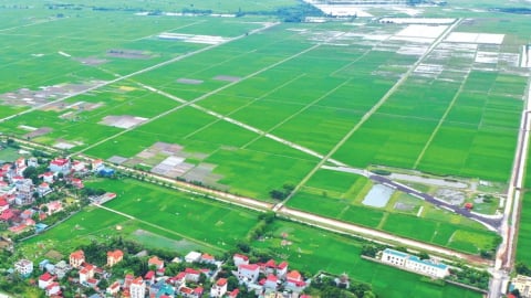 Kéo dài thời hạn miễn thuế sử dụng đất nông nghiệp đến hết năm 2030, ước tính  7.500 tỷ đồng/năm