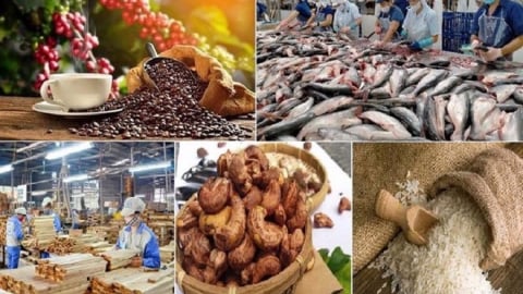 Xuất khẩu nông lâm thủy sản cán mốc 57 tỷ USD sau 6 tháng 