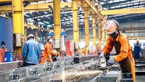 PMI giảm xuống mức 48,9 điểm, thuế quan Mỹ tác động đến số lượng đơn đặt hàng xuất khẩu mới