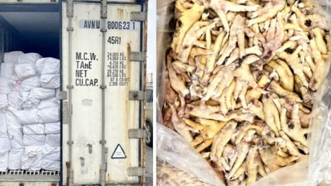 Xuất khống 1.400 tấn chân gà đông lạnh, Hải quan khởi tố vụ án trốn thuế 7 tỷ đồng
