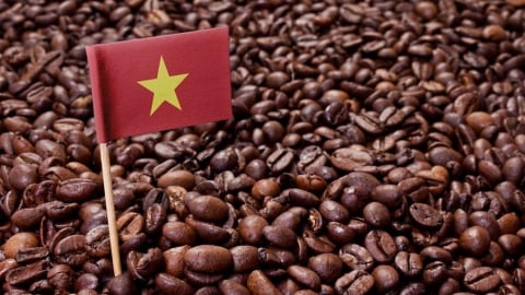 Xuất khẩu cà phê dự báo kỷ lục mới