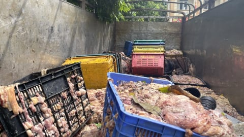 Hà Nội: Phát hiện ô tô vận chuyển hơn 2 tấn mỡ và da bò không rõ nguồn gốc đã bốc mùi
