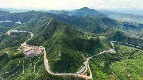 Chuyển mục đích sử dụng 5ha rừng để làm cao tốc Quy Nhơn - Pleiku
