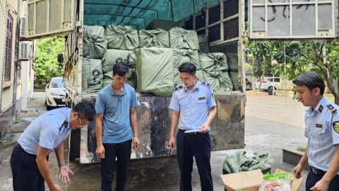 Phát hiện 03 tấn thịt vịt và trứng gà non đông lạnh đang trên đường đưa đi tiêu thụ