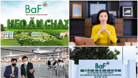 BaF Việt Nam là công ty gì? Sản phẩm của BaF Việt Nam có uy tín không? BaF Việt Nam xả thải ra môi trường