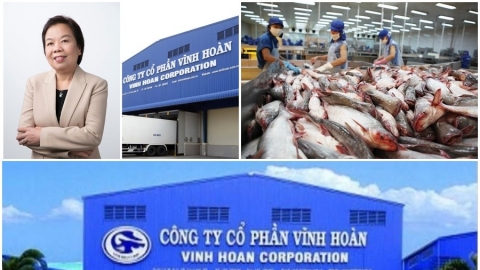 Vĩnh Hoàn là doanh nghiệp gì? Bối cảnh khó khăn hậu COVID-10 Vĩnh Hoàn kinh doanh ra sao?