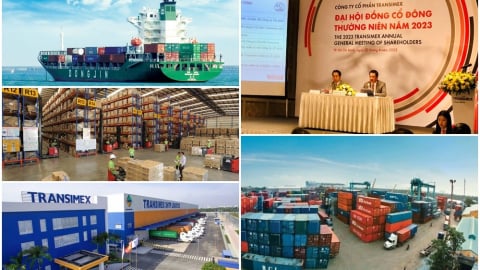 Công ty CP Transimex là doanh nghiệp gì? Lãnh đạo Transimex là ai? Transimex kinh doanh gì?