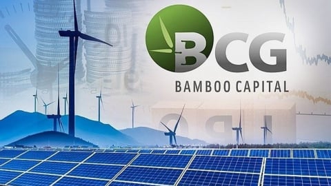 Công ty con của Bamboo Capital lỗ sau thuế 153 tỷ đồng trong năm 2023