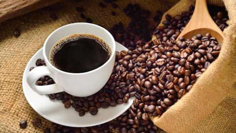 Giá cà phê giảm mạnh trước áp lực của tỷ giá