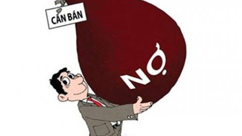 Agribank: Đấu giá toàn bộ khoản nợ của các khách hàng tại Chi nhánh Nam Hà Nội