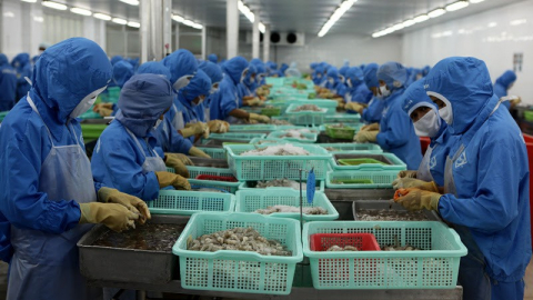 Nhiều lãnh đạo doanh nghiệp thủy sản bị tín dụng đen đe dọa