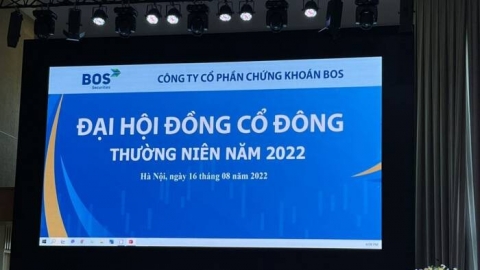 Danh tính 3 thành viên mới 'lấp chỗ trống' trong HĐQT của Chứng khoán BOS