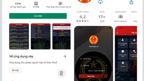 30 nhà cung cấp nước ngoài nộp hơn 22 triệu USD thuế thương mại điện tử tại Việt Nam