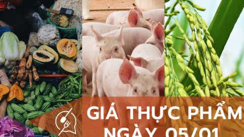 Giá thực phẩm ngày 5/1: Giá lợn hơi tăng 1.000 đồng/kg, rau củ quả giảm nhẹ