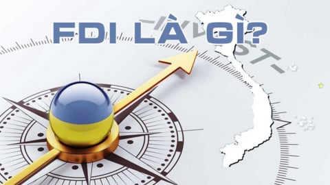 FDI là gì và top 10 doanh nghiệp FDI lớn nhất tại Việt Nam