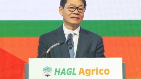 HAGL Agrico đang là ‘xác chết’, Thaco phải nỗ lực cứu chứ nếu 'chết' lấy đâu mà đòi 12.000 tỷ?