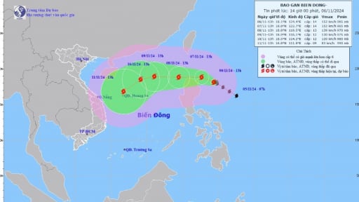 Dự báo tác động của bão YINXING 