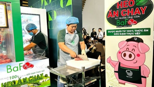 'Đại gia nuôi heo' BAF nhận chuyển nhượng tại công ty chăn nuôi có quy mô 33ha
