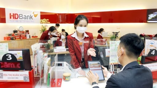 Chủ tịch Vikki Bank muốn chuyển nhượng hết 60,1 triệu cổ phiếu HDB