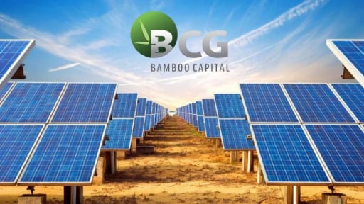 Cổ phiếu BCG của Bamboo Capital vào diện bị kiểm soát từ ngày 13/5