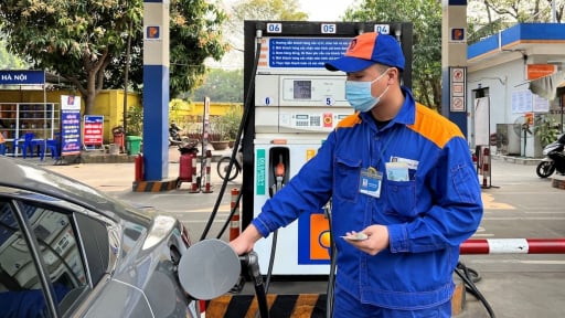 Giá xăng giảm nhẹ, giá dầu tăng từ 15h00 chiều nay 