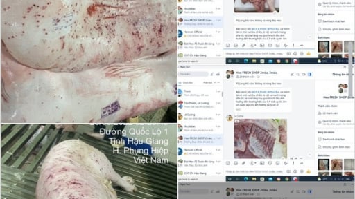 Công ty cổ phần C.P. Việt Nam bị 'tố' bán heo, gà mắc bệnh: Tỉnh Sóc Trăng chỉ đạo nóng, công an vào cuộc